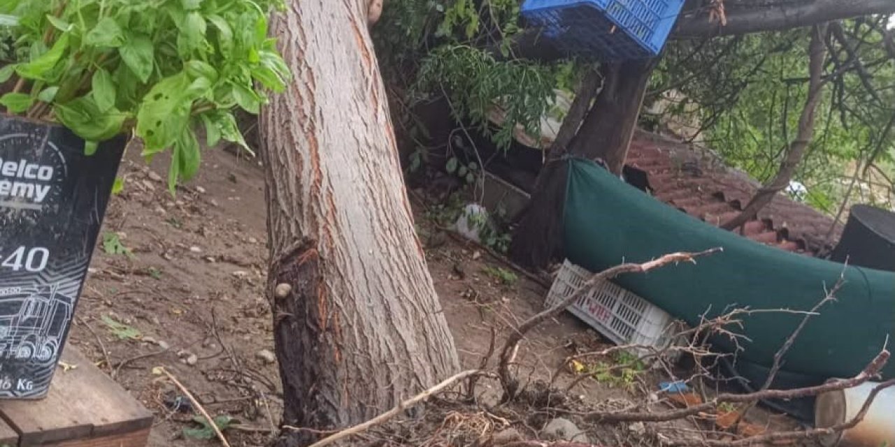 Serik’te Sağanak Ve Hortum Evin Çatısına Zarar Verdi, İki Ağacı Kökünden Söktü