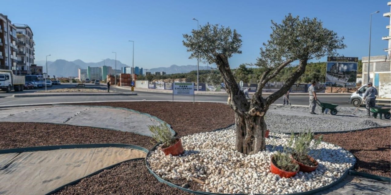 Kepez’den Su Tasarrufuna Kurakçıl Peyzaj Uygulaması