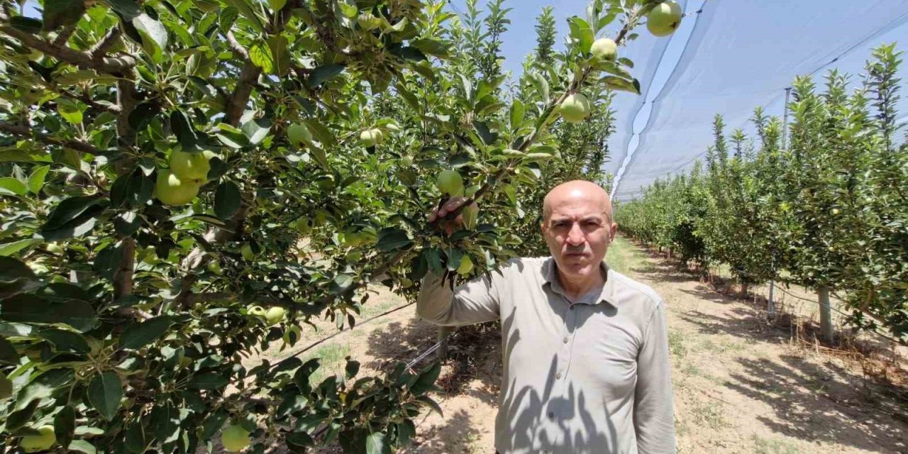 Rekor Üretime Dolandırıcı Uyarısı