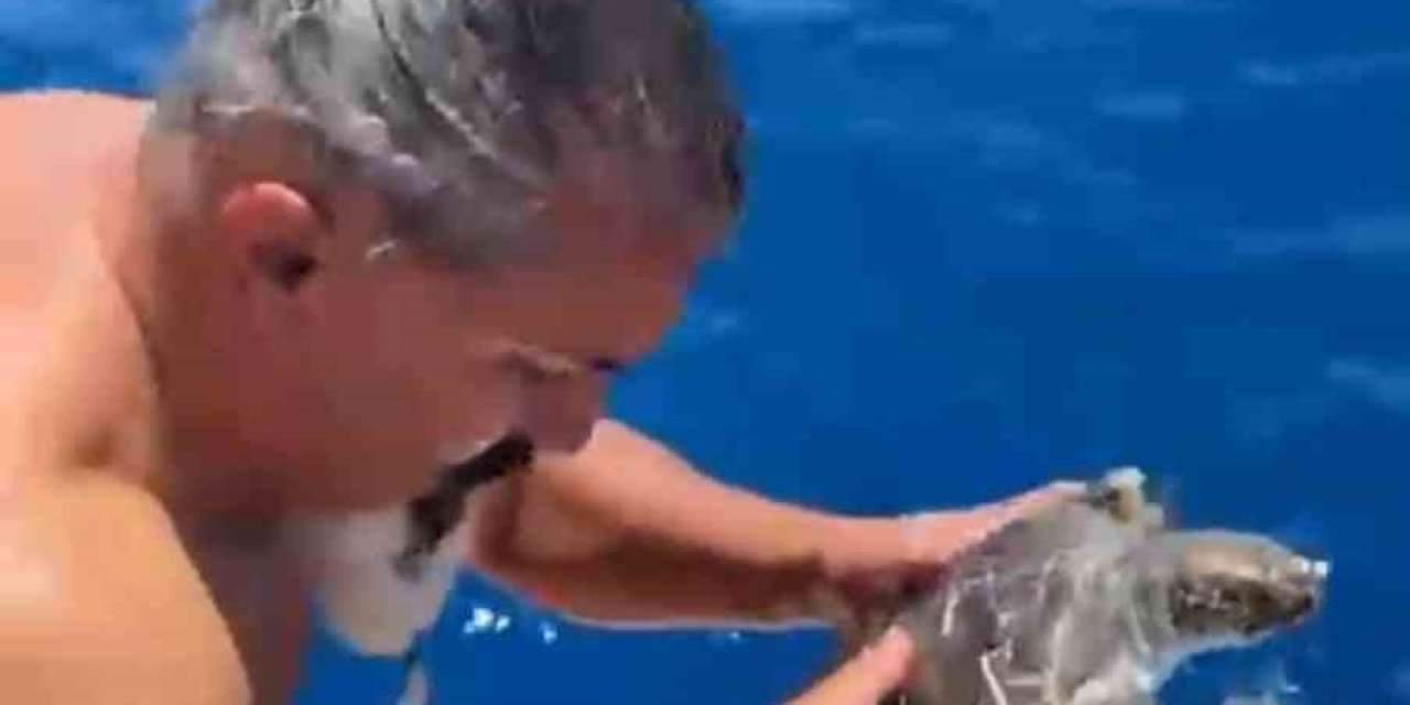 Alanya’da Çuvala Dolanan Caretta Carettayı Tur Teknesi Kaptanı Kurtardı