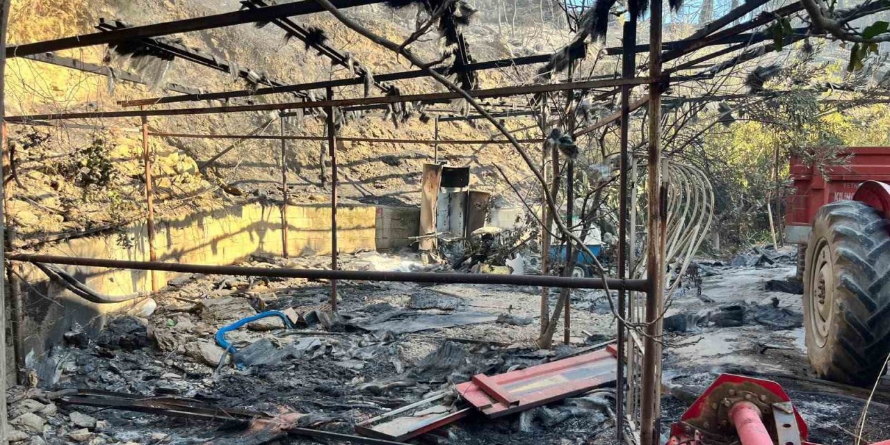 Alanya’da Orman Yangını Muz Seralarına Sıçradı: 17 Hektarlık Alan Zarar Gördü