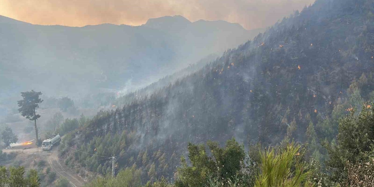Alanya’daki Yangına 95 Araç Ve 320 Personelle Müdehale Ediliyor