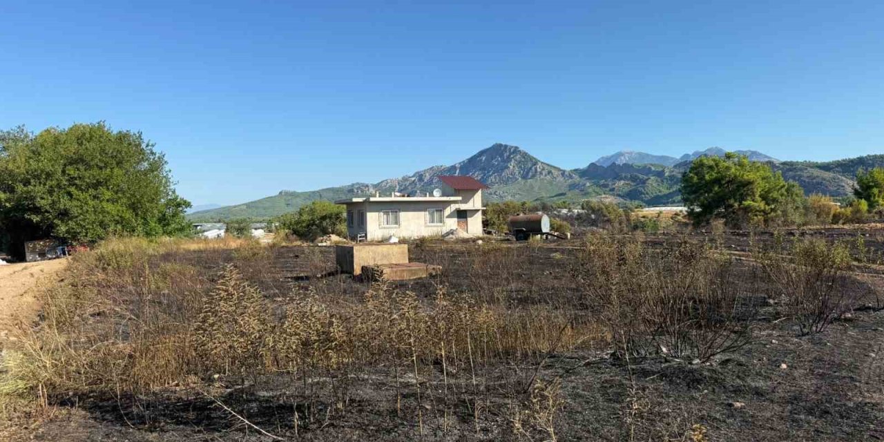 Antalya’daki Yangında Seralar Zarar Gördü
