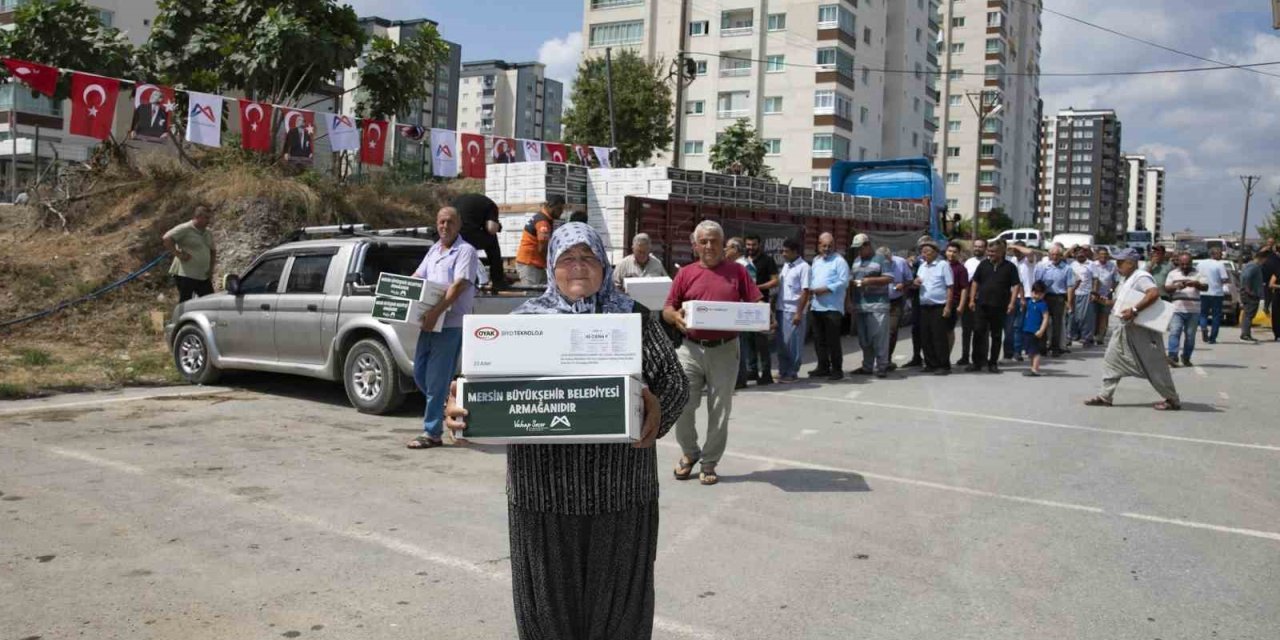 Mersin’de Üreticiye Feromon Tuzak Ve Makine Ekipmanı Desteği