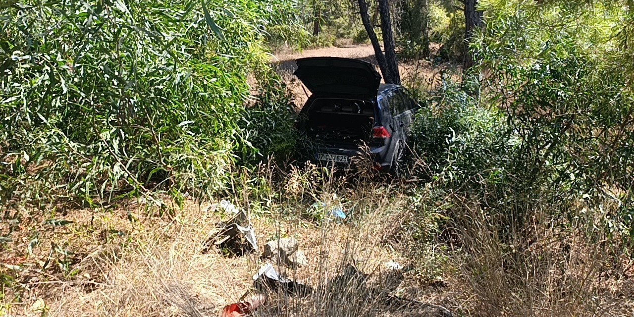 Önündeki Otomobile Çarptı, Ardından Ormana Daldı: 1 Yaralı