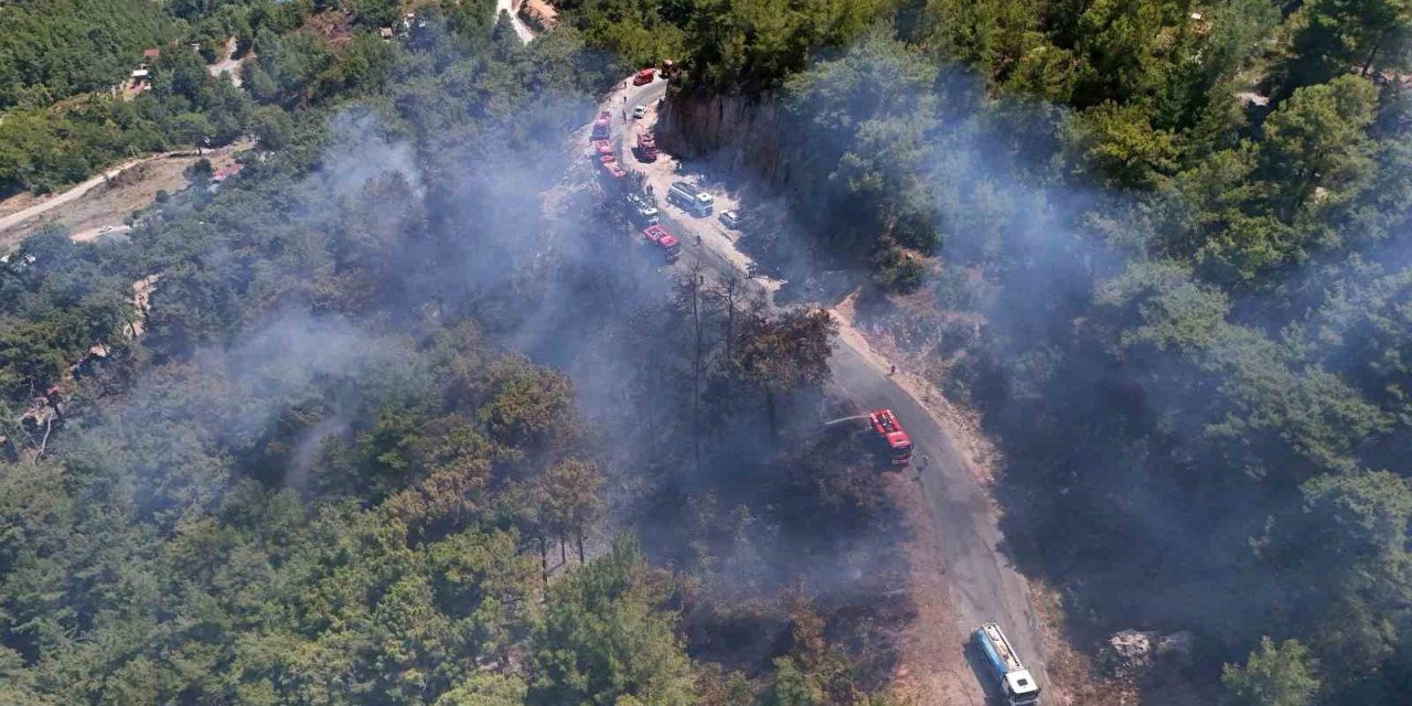 Alanya’da Orman Yangını 3 Saatte Kontrol Altına Alındı