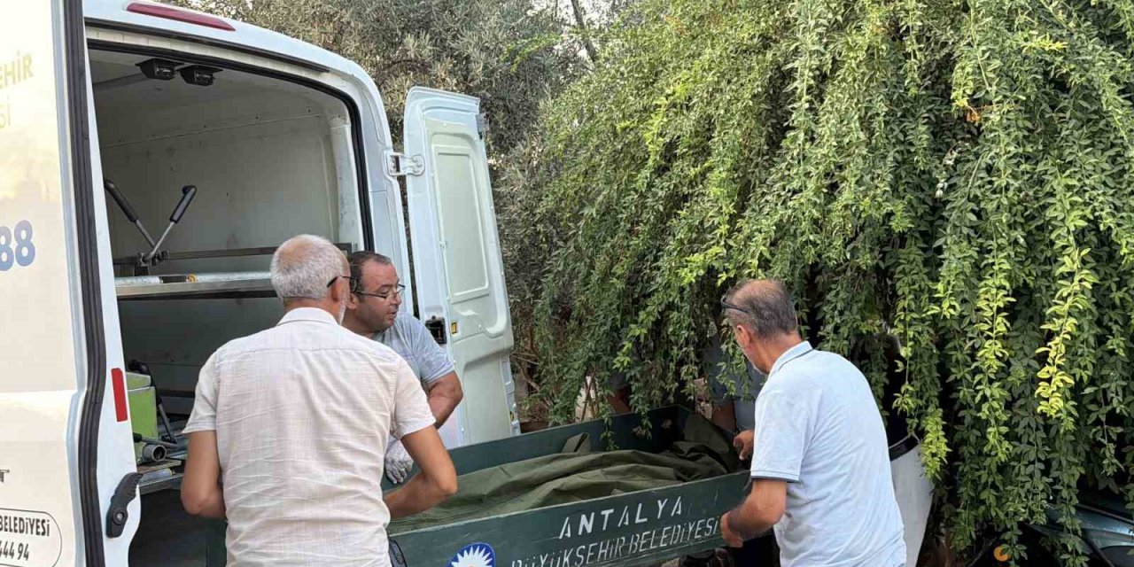 Gazipaşa’da Bir Kişi Evinin Merdiveninde Ölü Bulundu