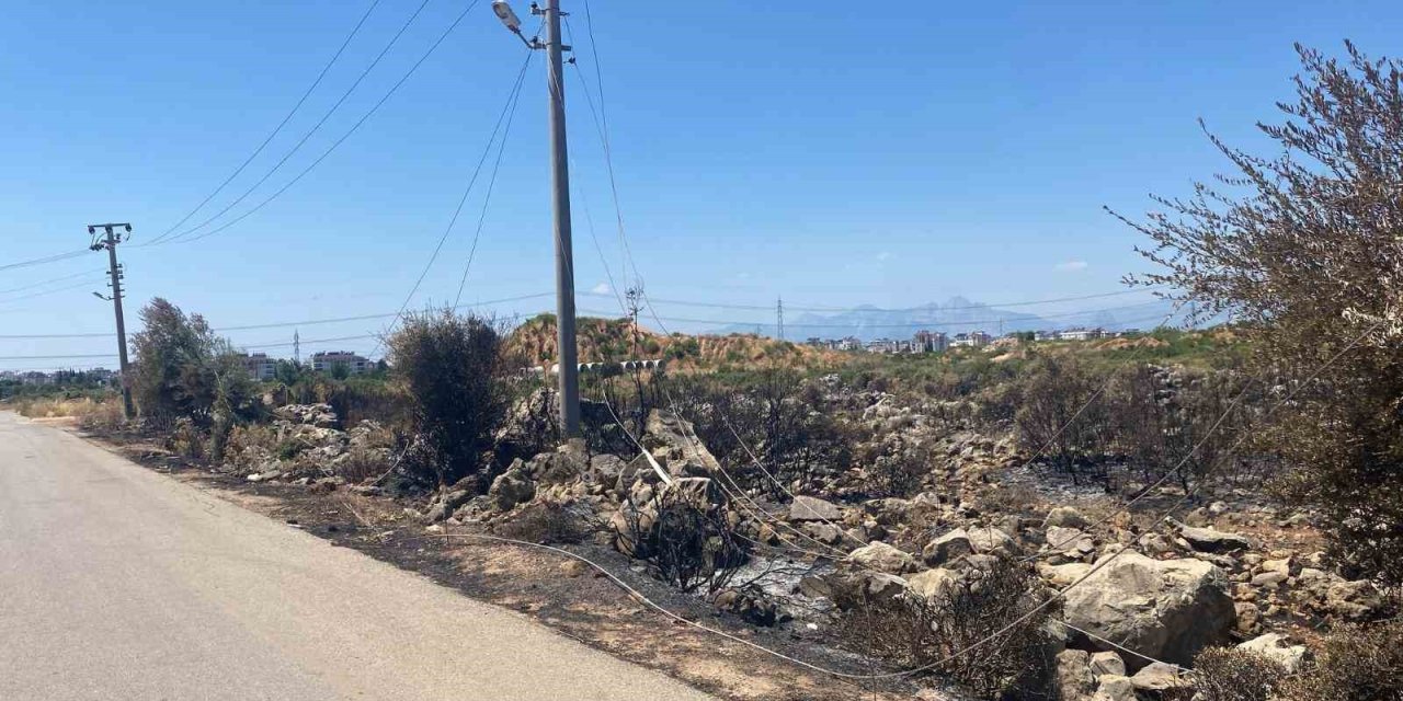 Kaçak Moloz Döktü, Elektrik Tellerini Kopardı, Yangına Neden Oldu
