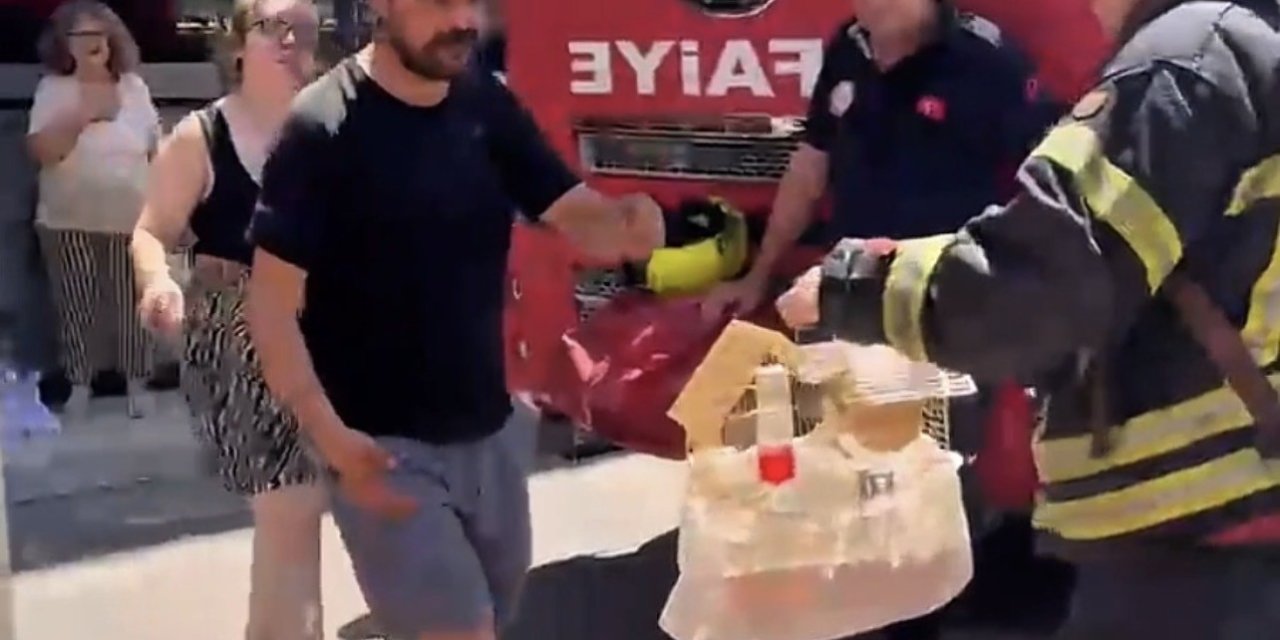 Mersin’de Yangında Mahsur Kalan Cennet Papağanını İtfaiye Kurtardı