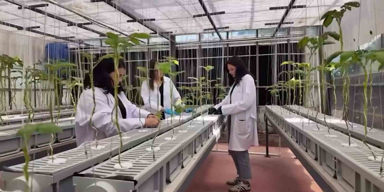 Nöhü’de Tarımın Geleceği Teknolojiyle Şekilleniyor