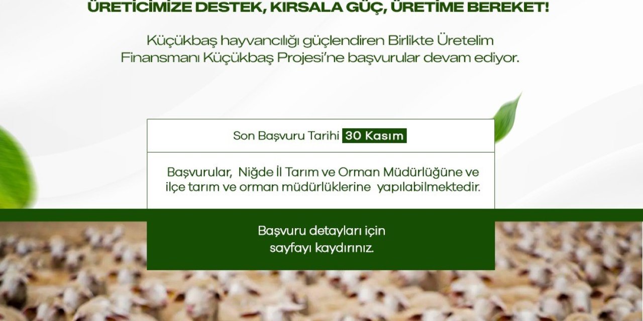 Niğde Valiliği’nden Küçükbaş Hayvancılık Projesine Başvuru Duyurusu