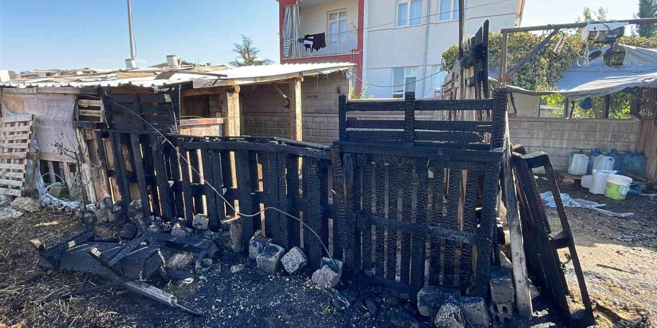 Otluk Alanda Başlayan Yangın Evlere Sıçramadan Söndürüldü