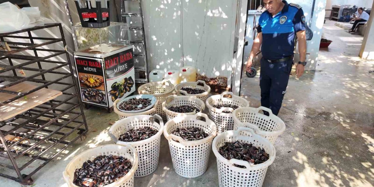 Mersin’de 200 Kilo Bozuk Midye Dolması Ele Geçirildi