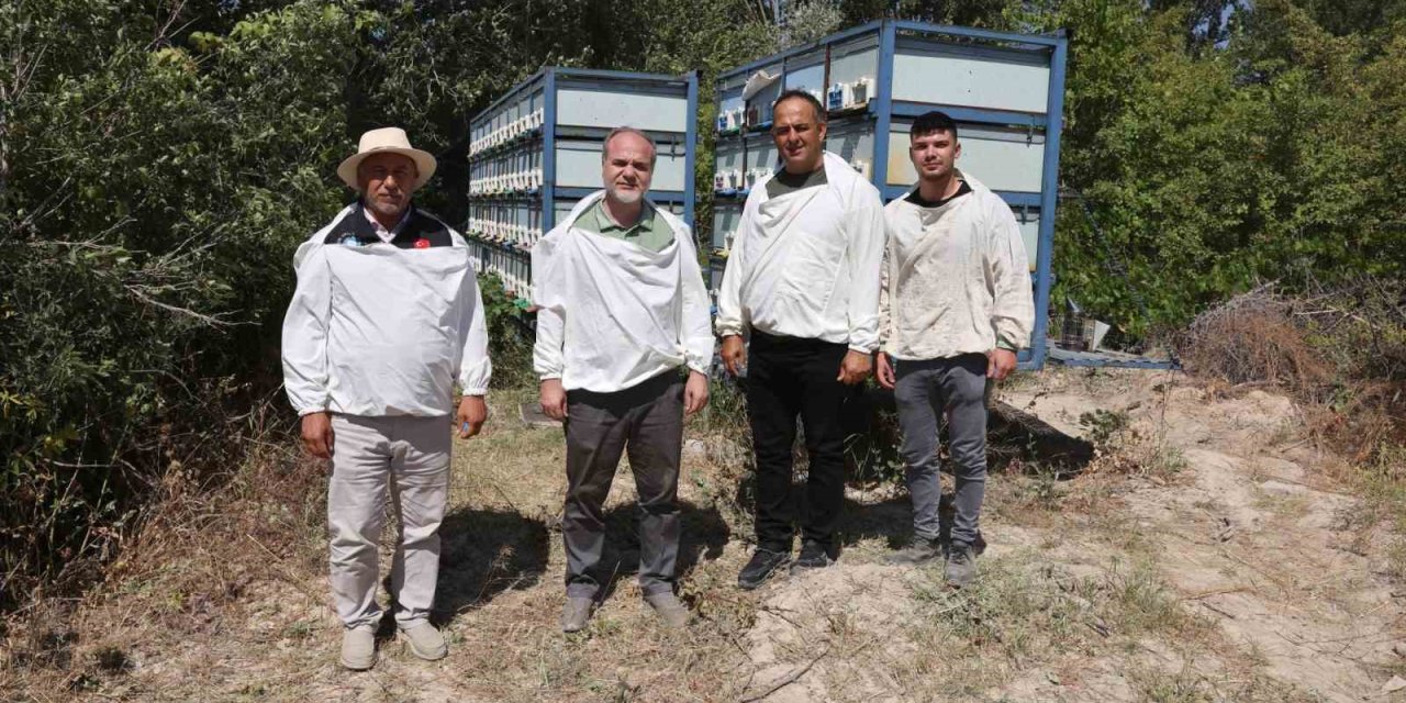 Nöhü’de Arıcılıkta Rekor: 3 Tona Yakın Bal Hasadı Gerçekleştirildi