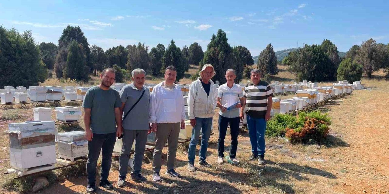Beyşehir’de Arılı Kovanlar Tek Tek Sayılıyor