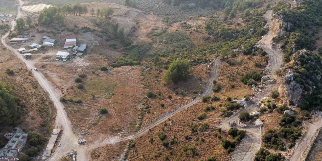Manavgat’ta Sokak Hayvanlarına 75 Dönümlük Yaşam Alanı