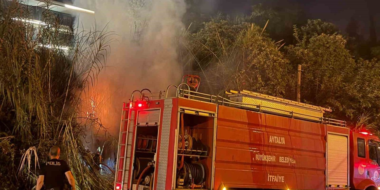 Alanya’da Sazlık Alanda Yangın