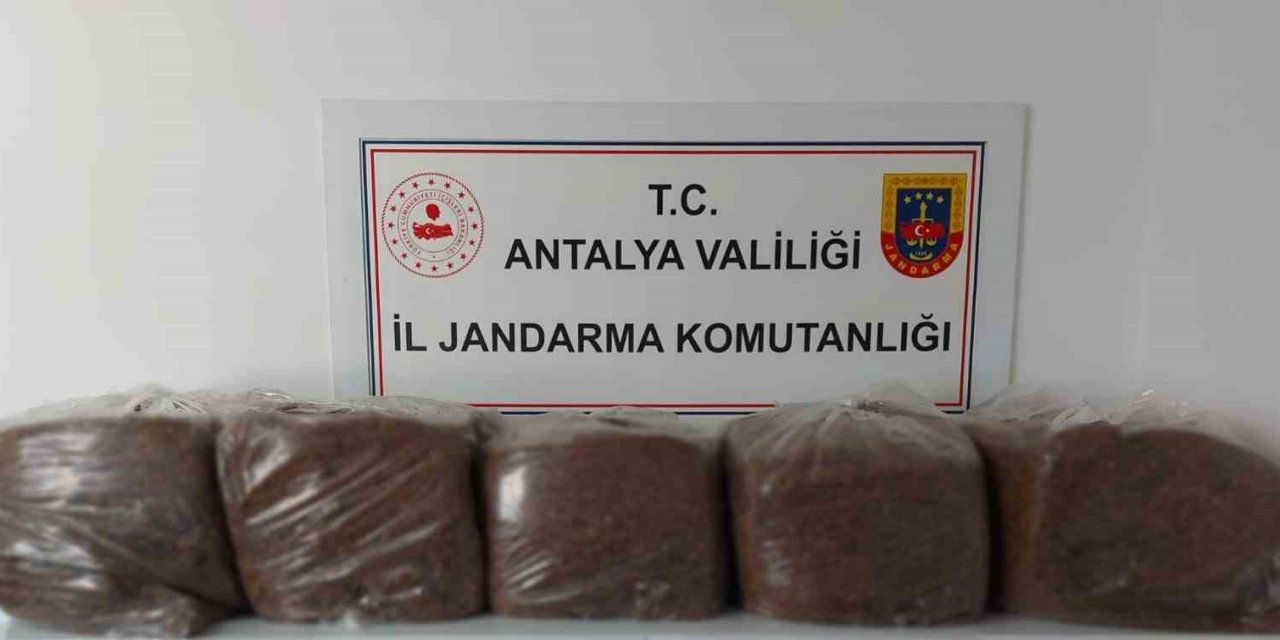 Alanya Ve Demre’de 285 Kilo Kaçak Tütün Ele Geçirildi