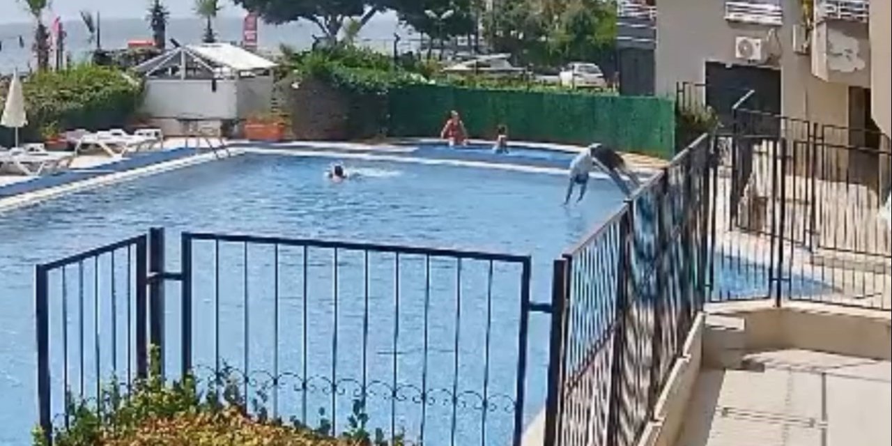 Boğulmak Üzere Olan Çocuğu Havuz Görevlisi Kurtardı