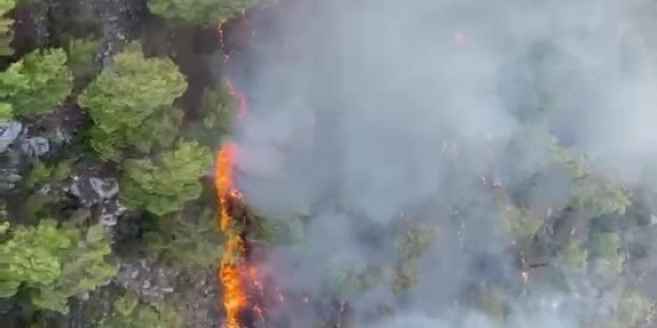 Antalya’da Orman Yangını