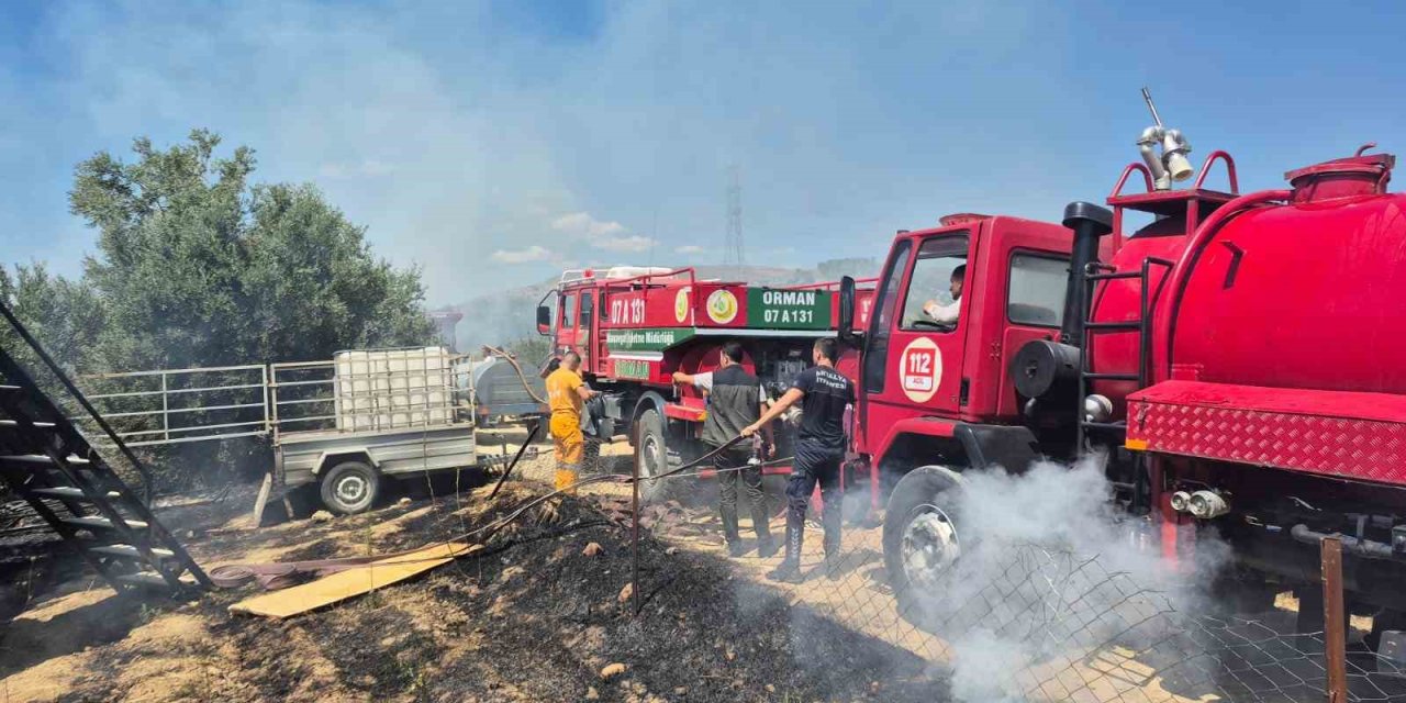 Antik Kente Yakın Zeytinlik Alanda Yangında 1,25 Dönüm Zarar Gördü