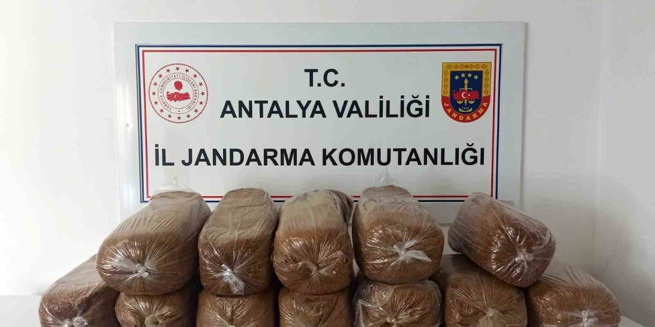 Antalya’da Üç İlçede Kaçak Tütün Operasyonu: 785 Kilogram Tütün Ele Geçirildi