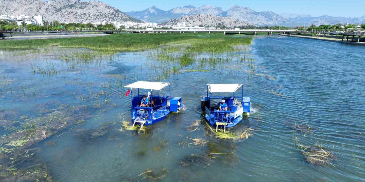 Boğaçayı Sucul Otlarla Kaplandı, "caretta" Ve "mavi Yengeç" Göreve Başladı