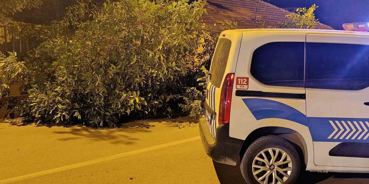 Beyşehir’de Yola Ağaç Devrildi