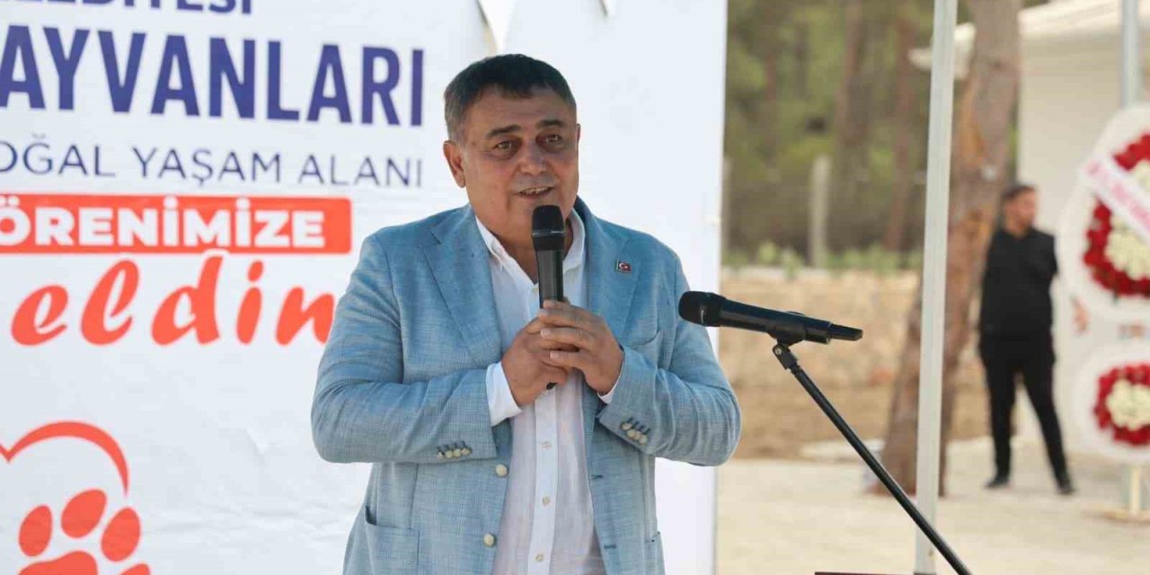 Antalya’nın En Büyük Sokak Hayvanları Bakımevi Ve Doğal Yaşam Alanı Aksu’da Açıldı