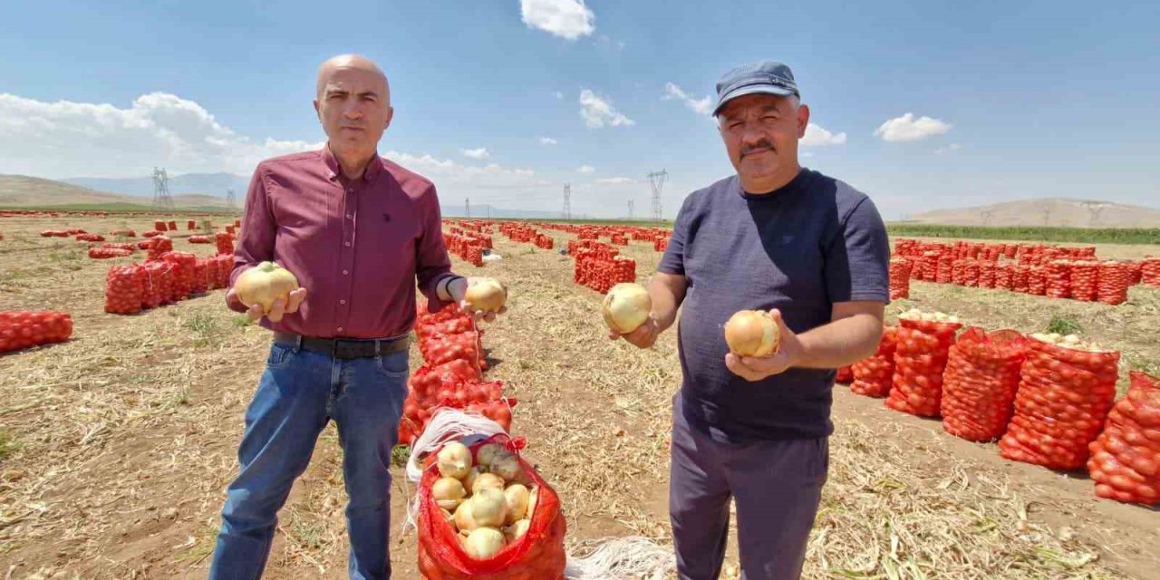 Karaman’da Yazlık Soğan Üreticisinin Yüzünü Güldürüyor