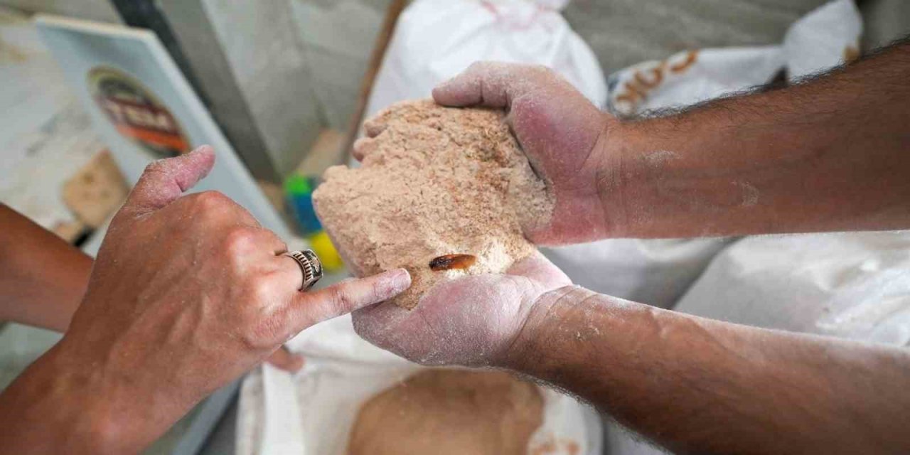 Un Fabrikasında Şoke Eden Görüntü: 30 Ton Böceklenmiş Bozuk Un Ele Geçirildi