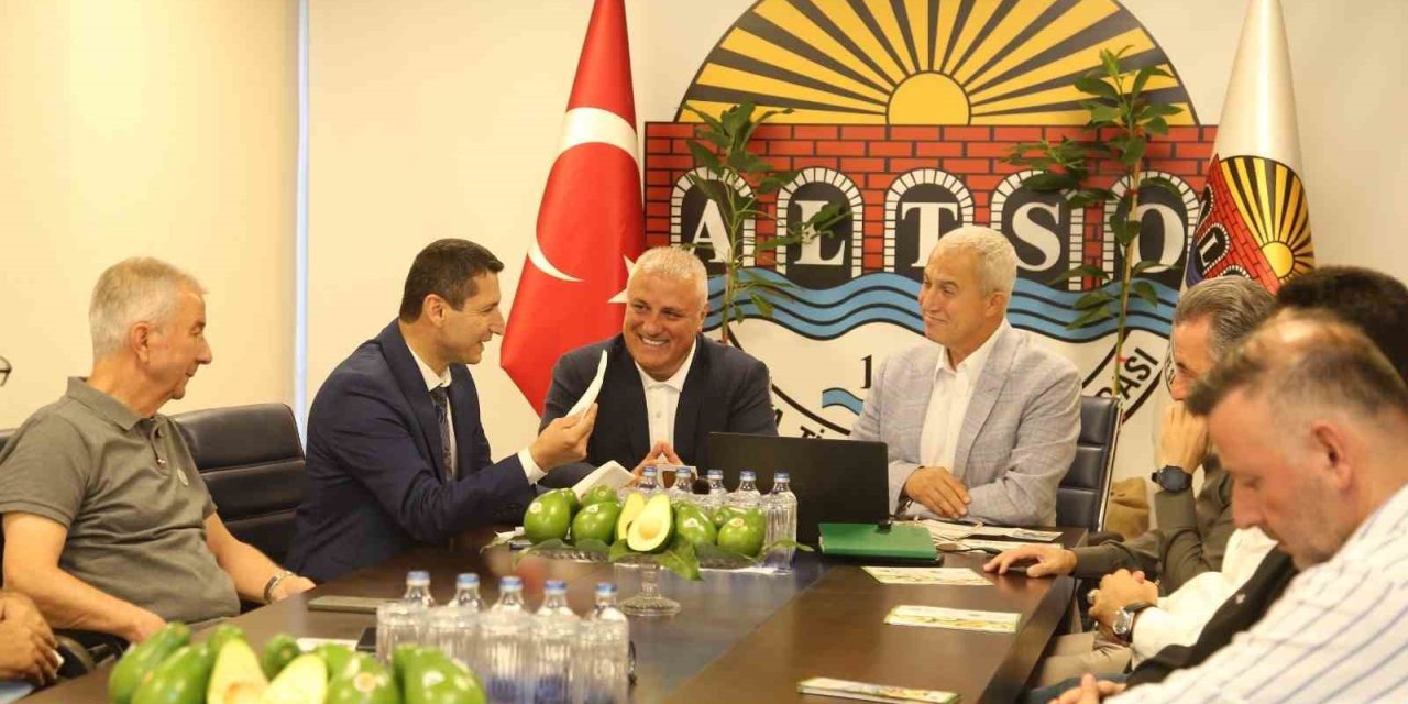 Alanya Avokadosunun Avrupa Birliği Coğrafi İşaret Başvurusu Gerçekleştirildi