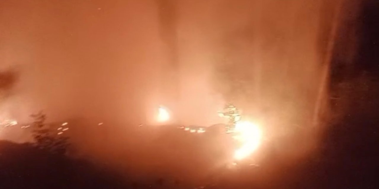 Alanya’da Ormanlık Alan Yangınında 2 Dönüm Alan Zarar Gördü