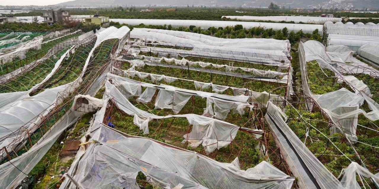Antalya’da Üreticilere 1 Yılda 657 Bin 400 Metrekare Sera Naylonu Hibe Edildi