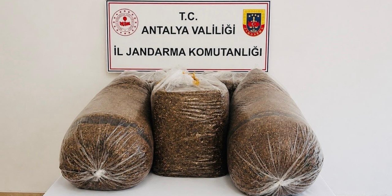Antalya’da Kaçak Tütün Operasyonunda 365 Kilo Tütün Ele Geçirildi