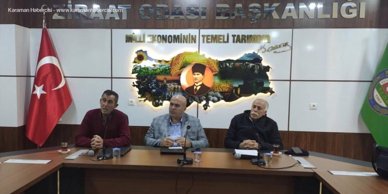 Karaman'da Elma Hasatında Çalışacak İşçiler İçin Kurs Açılacak