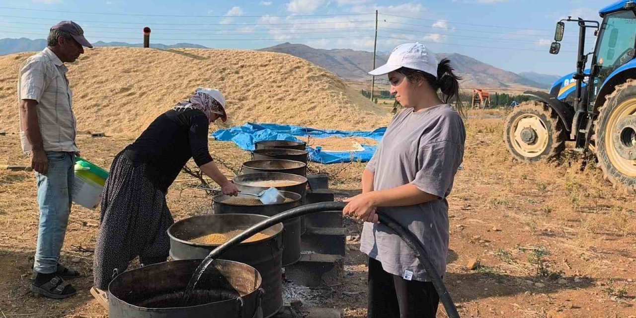 Üniversite Öğrencileri Yaz Tatilinde Tarlada Ailelerine Destek Oluyor