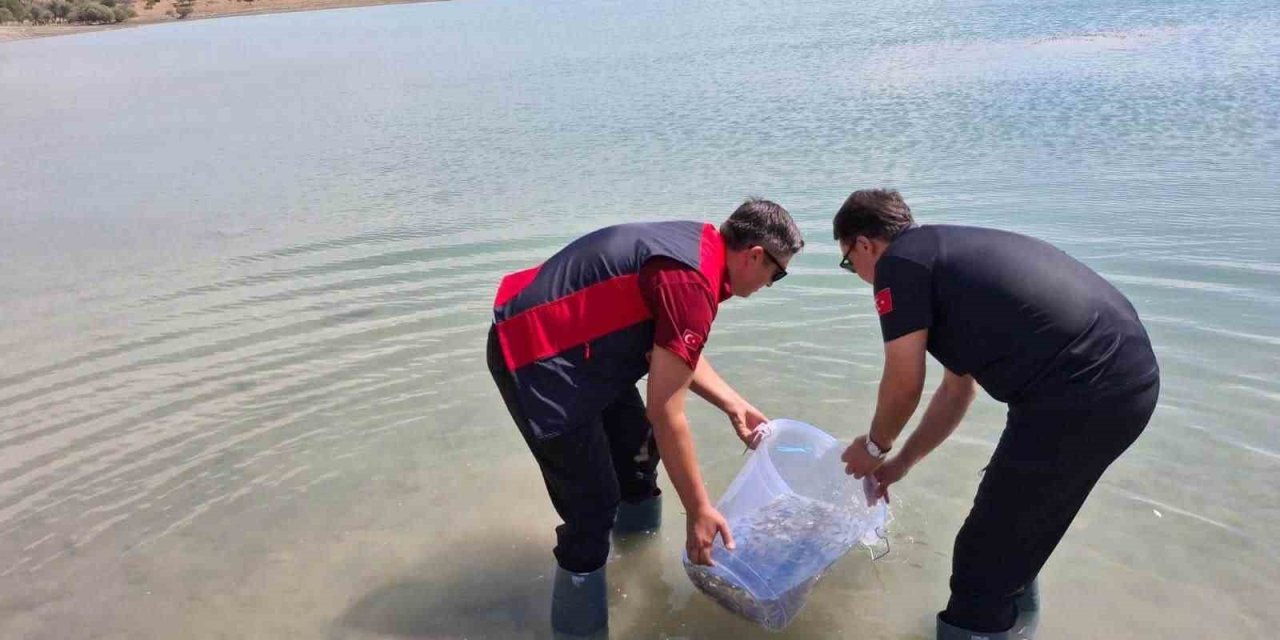Niğde Bahçeli Göleti’ne Yavru Sazan Bırakıldı