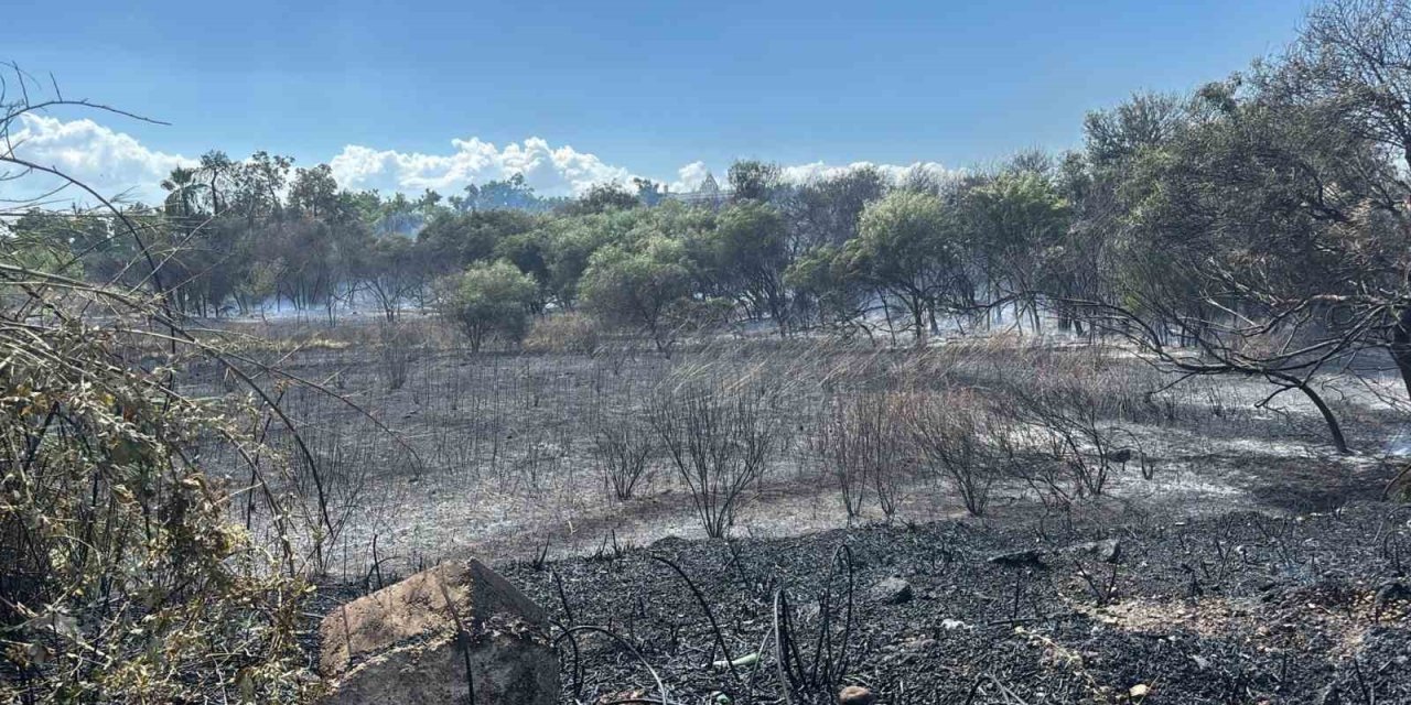 Manavgat’ta Boğaz Mendirek Yolunda Korkutan Yangın
