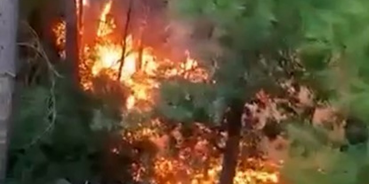 Alanya’da Yıldırımın Düşmesiyle Yangın Çıktı: 1 Dönüm Alan Zarar Gördü