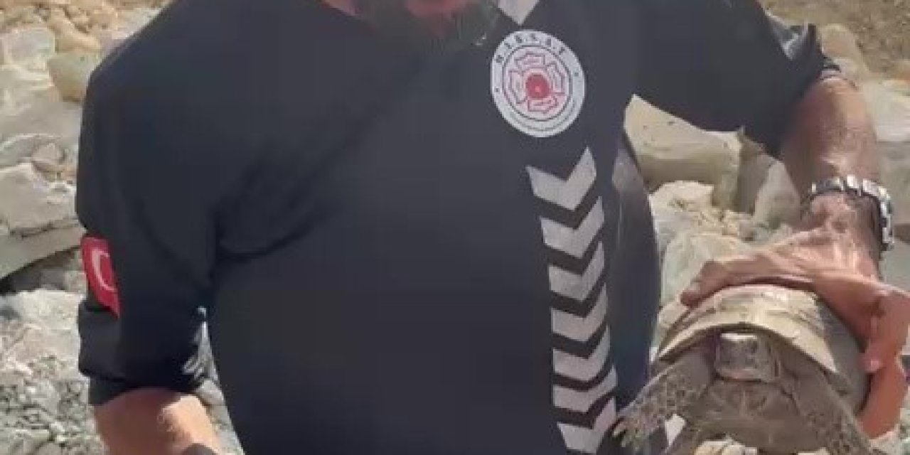 Yangın Bölgesinde Canlıların Tahliyesi İçin Seferber Oldular
