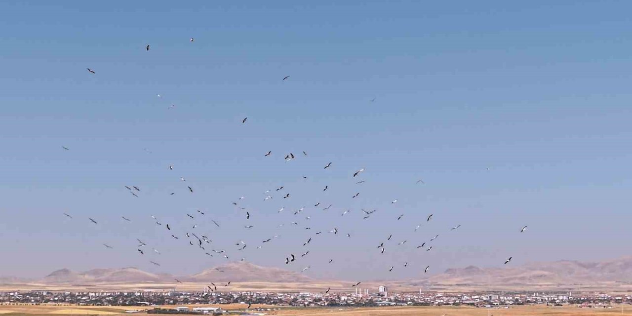 Düden Gölü’nde Leyleklerin Dansı Havadan Görüntülendi