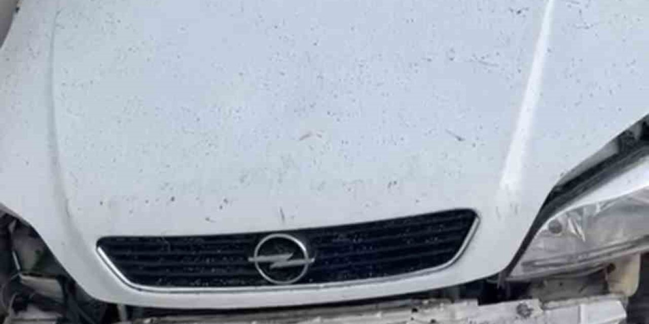 Kontrolden Çıkan Otomobil Seraya Yuvarlandı: 1 Ölü