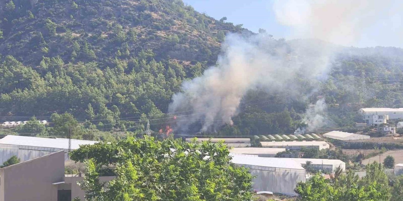 Bozyazı’da Orman Yangını Büyümeden Söndürüldü