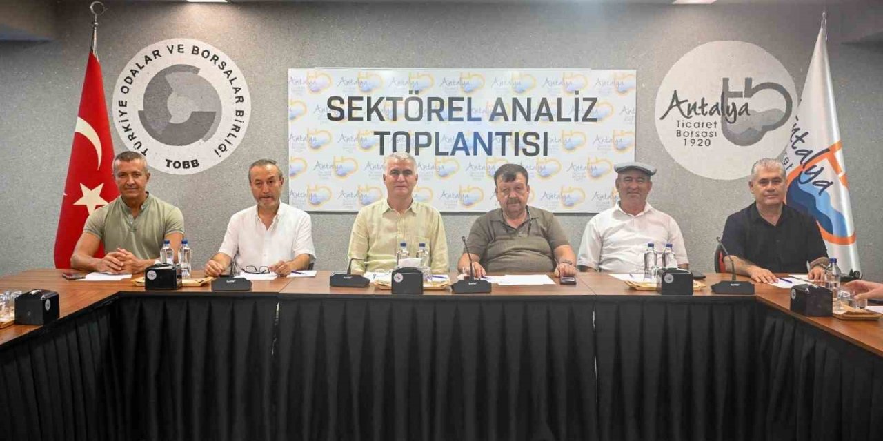 Zeytinde Rekolte Beklentisi Yüzde 40 Arttı