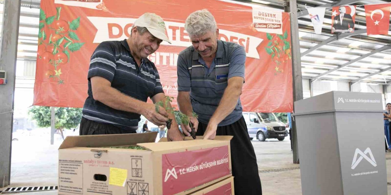 Mersin’de 200 Üreticiye Yüzde 70 Hibeli Domates Fidesi Desteği