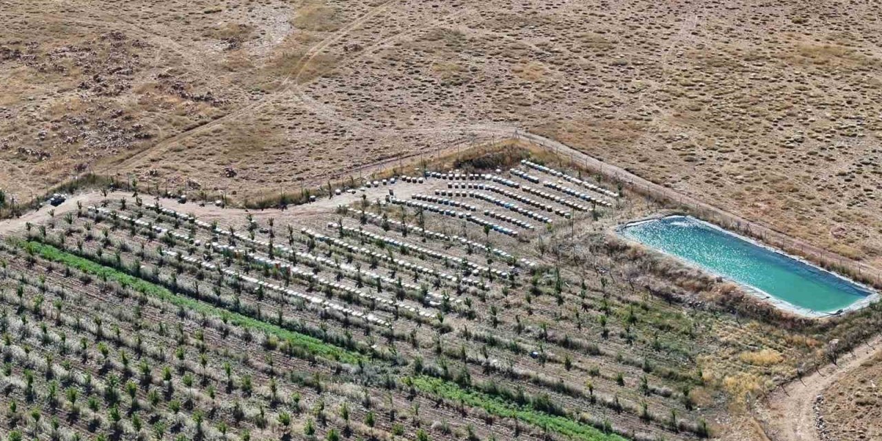 Niğde’nin Bin 800 Rakımlı Tumlu Yaylası’nda Geven Balı Bereketi