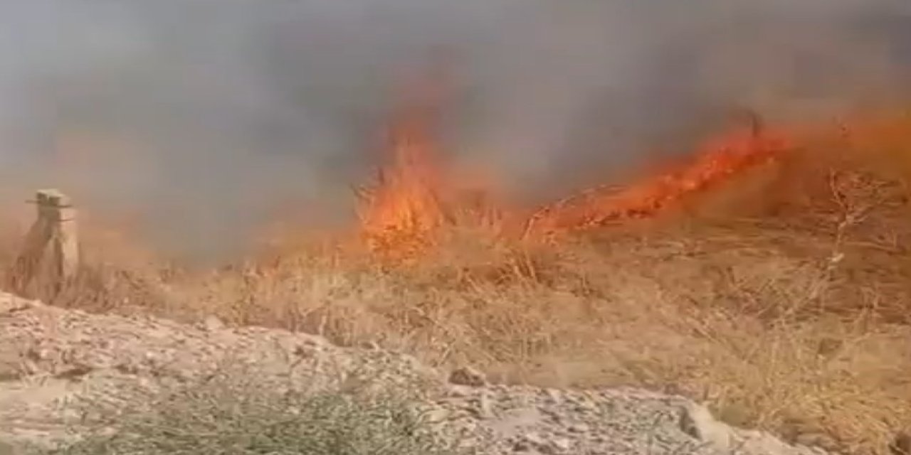 Ereğli’de Çıkan İki Ayrı Yangın Paniğe Neden Oldu