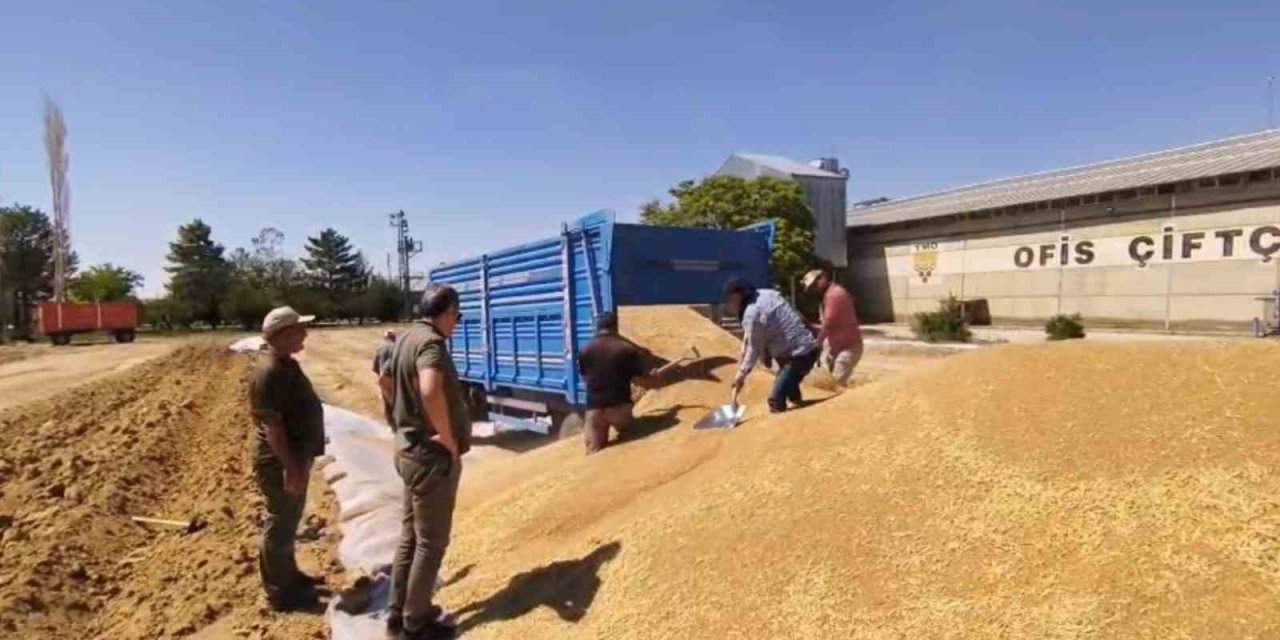 Konya’da Tmo’dan 2 Milyon Tona Yakın Hububat Alımı