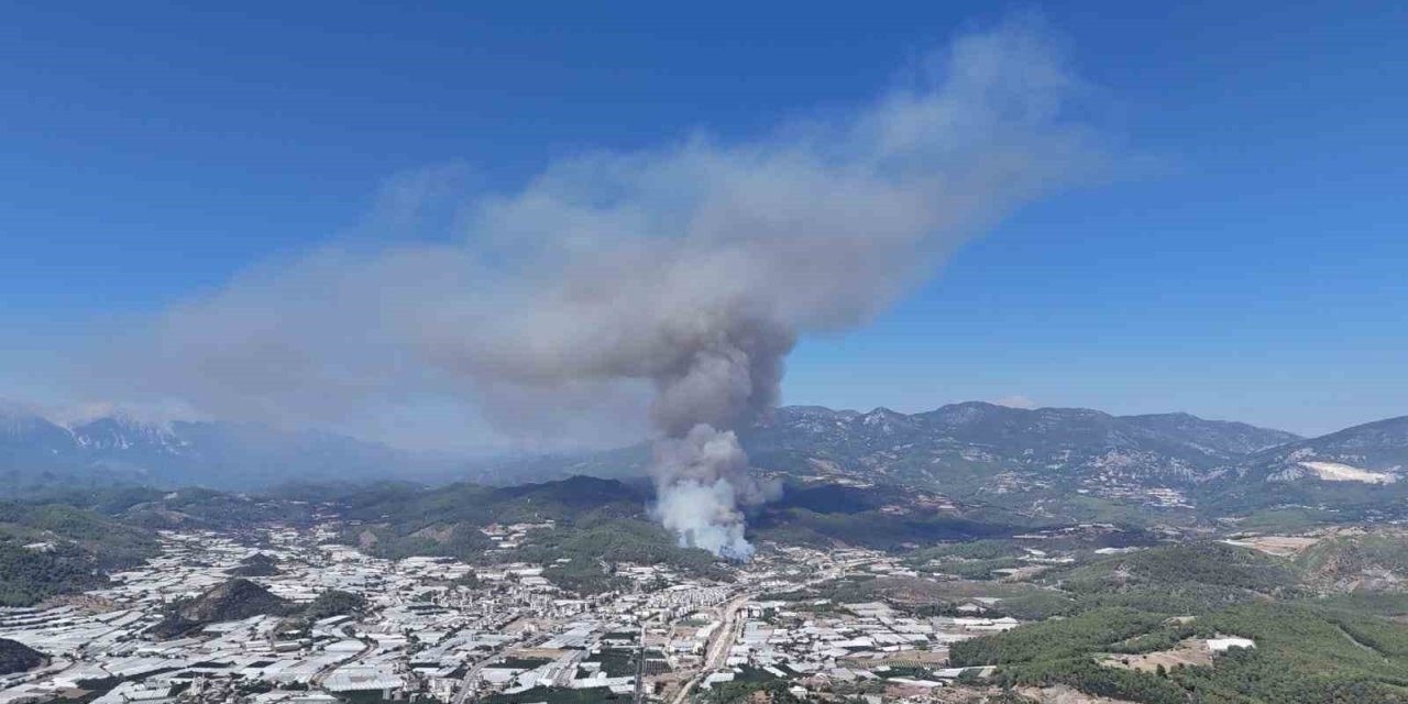 Gözaltına Alınan Yangın Şüphelisi Tutuklandı